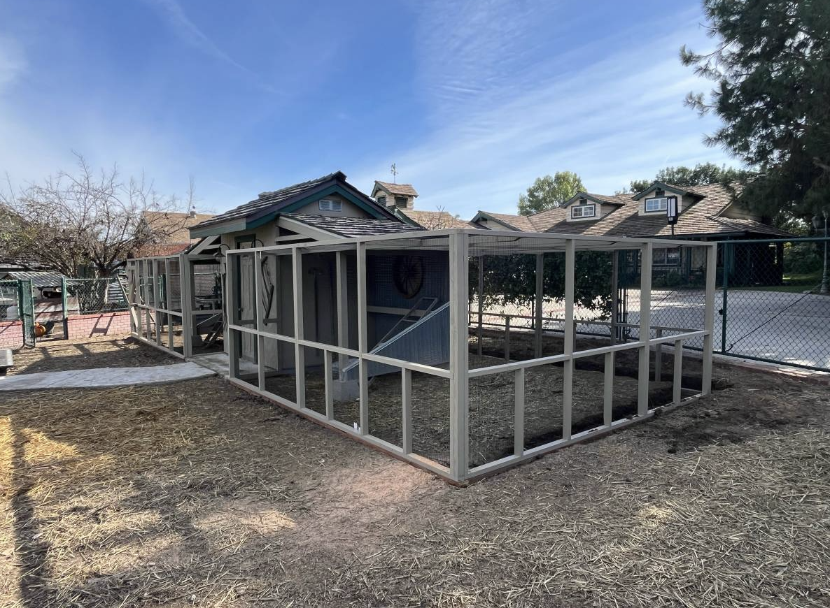 Custom animal enclosure project